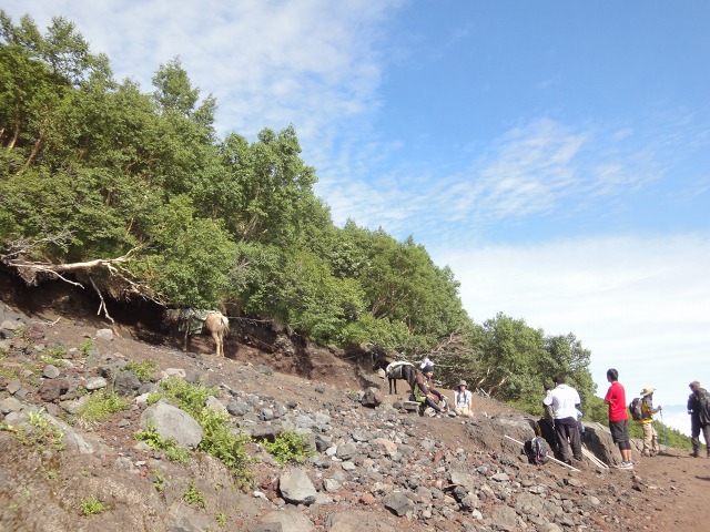 8:21　その後、吉田口６合目付近の乗馬で下山が出来る獅子岩と呼ばれる地点に到着します。