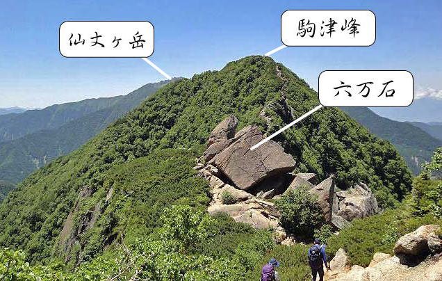 仙水峠ルート写真紹介より六万石、駒津峰、仙丈ヶ岳