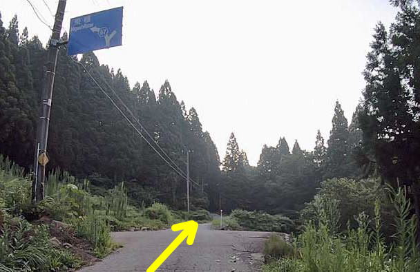富山県道67号線写真による紹介よりルートの様子2