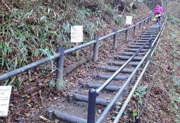 稲荷山コースの登り始めは、やや勾配のある階段から始まる