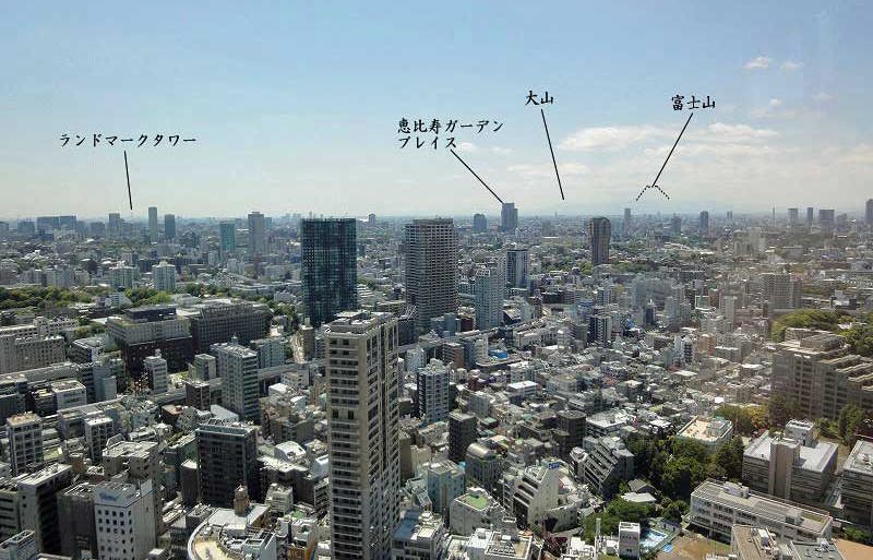 東京タワー展望台南側より海老坂カーデンプレイス