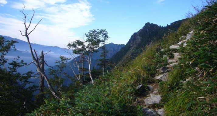 写真による笠新道（登山口から杓子平）紹介より標高1,920m付近の登山道の様子
