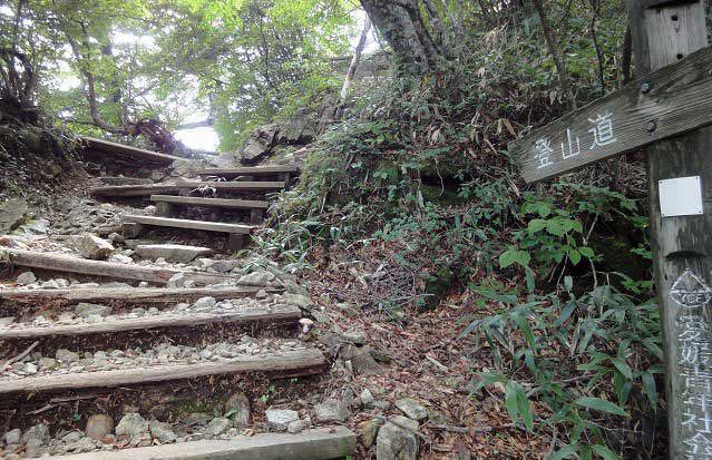 石鎚山登山ルートより八丁からの木階段の様子3