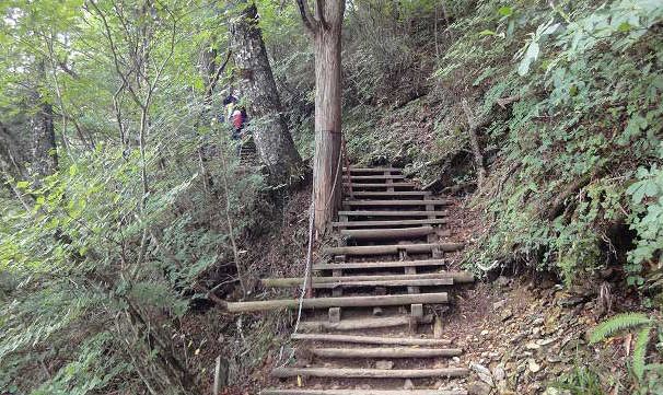石鎚山登山ルートより八丁からの木階段の様子1