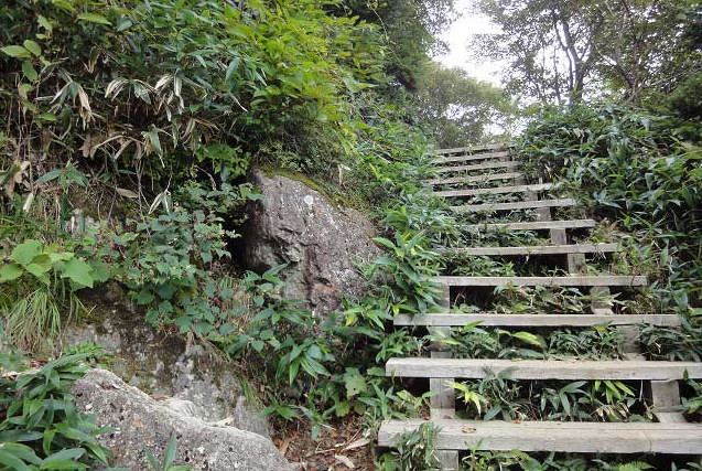 石鎚山登山　前社森から一ノ鎖場区間より階段状のルート