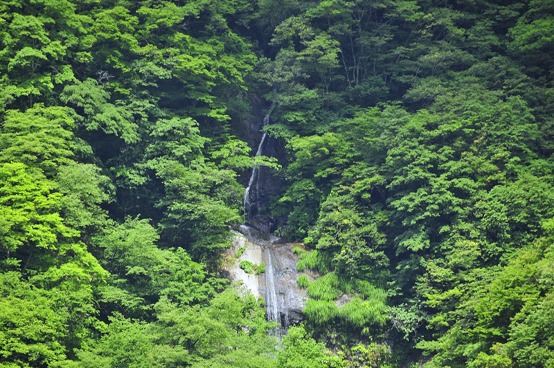 富山の滝37選『砺波市庄川町・腰切の滝』